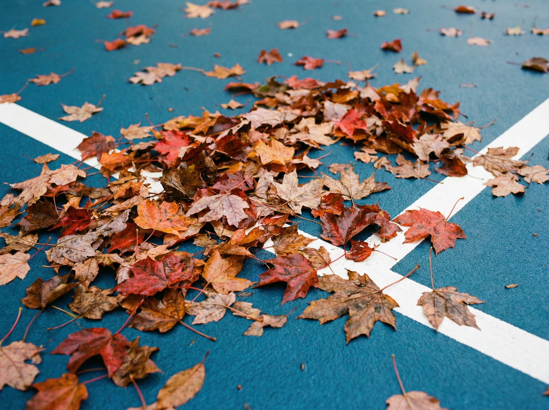 Pickleball Court Maintenance